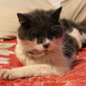 Meet your Posher, Lagertha